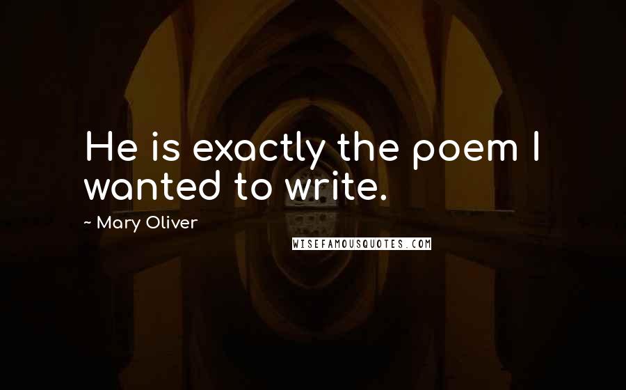 Mary Oliver Quotes: He is exactly the poem I wanted to write.