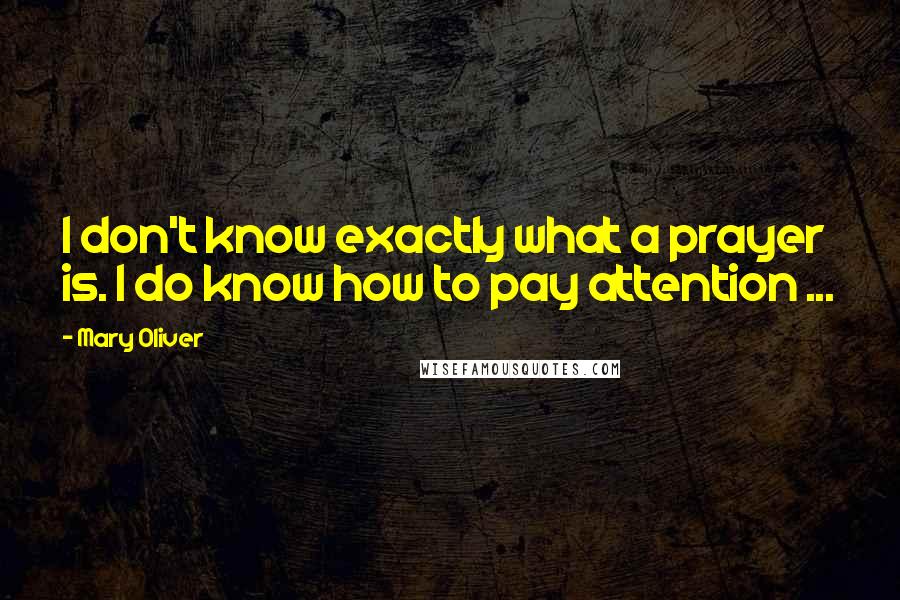 Mary Oliver Quotes: I don't know exactly what a prayer is. I do know how to pay attention ...