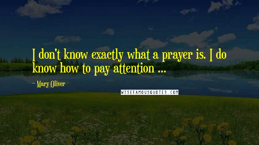 Mary Oliver Quotes: I don't know exactly what a prayer is. I do know how to pay attention ...