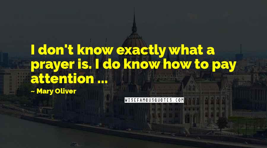 Mary Oliver Quotes: I don't know exactly what a prayer is. I do know how to pay attention ...