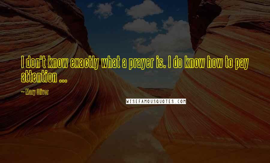 Mary Oliver Quotes: I don't know exactly what a prayer is. I do know how to pay attention ...