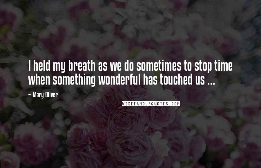 Mary Oliver Quotes: I held my breath as we do sometimes to stop time when something wonderful has touched us ...