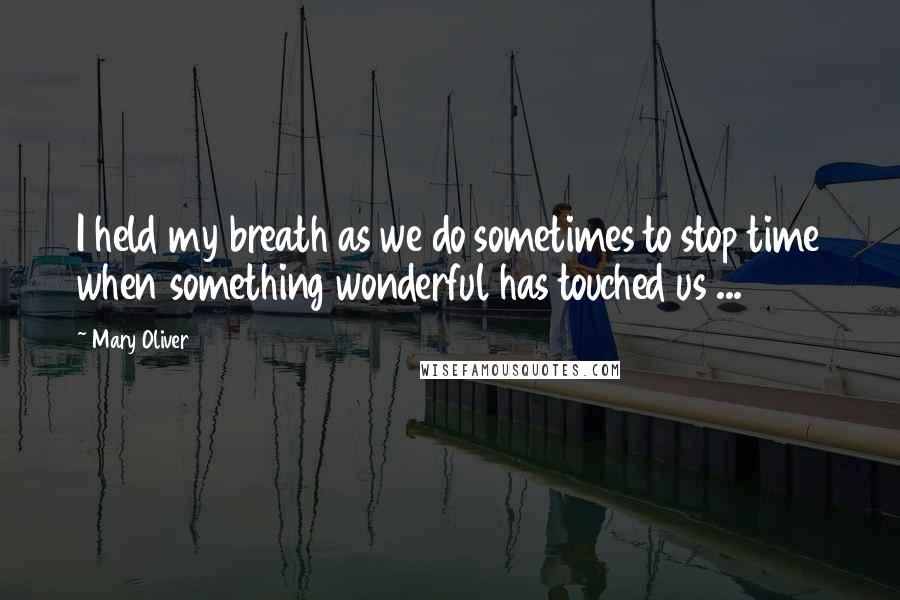 Mary Oliver Quotes: I held my breath as we do sometimes to stop time when something wonderful has touched us ...