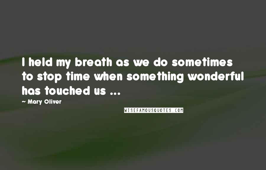 Mary Oliver Quotes: I held my breath as we do sometimes to stop time when something wonderful has touched us ...