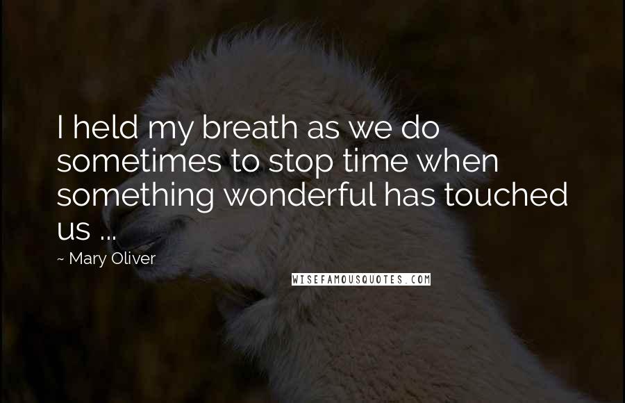 Mary Oliver Quotes: I held my breath as we do sometimes to stop time when something wonderful has touched us ...