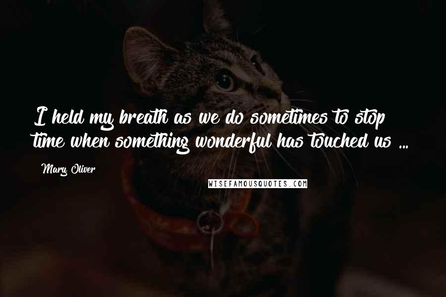 Mary Oliver Quotes: I held my breath as we do sometimes to stop time when something wonderful has touched us ...