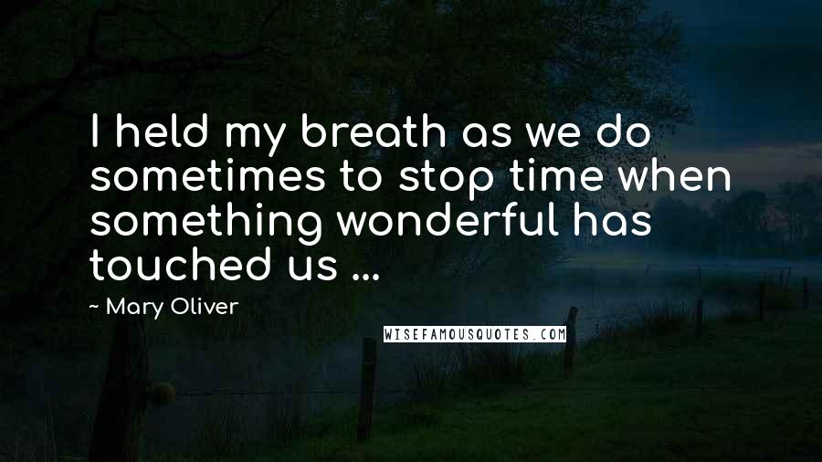 Mary Oliver Quotes: I held my breath as we do sometimes to stop time when something wonderful has touched us ...