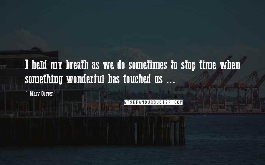 Mary Oliver Quotes: I held my breath as we do sometimes to stop time when something wonderful has touched us ...