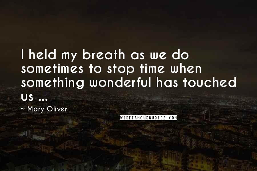 Mary Oliver Quotes: I held my breath as we do sometimes to stop time when something wonderful has touched us ...