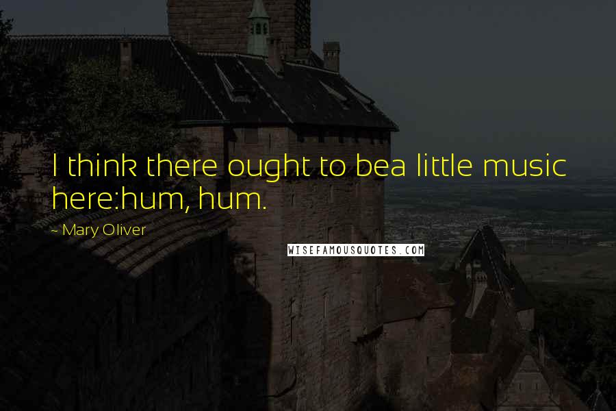 Mary Oliver Quotes: I think there ought to bea little music here:hum, hum.