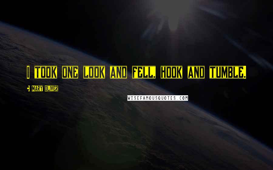 Mary Oliver Quotes: I took one look and fell, hook and tumble.