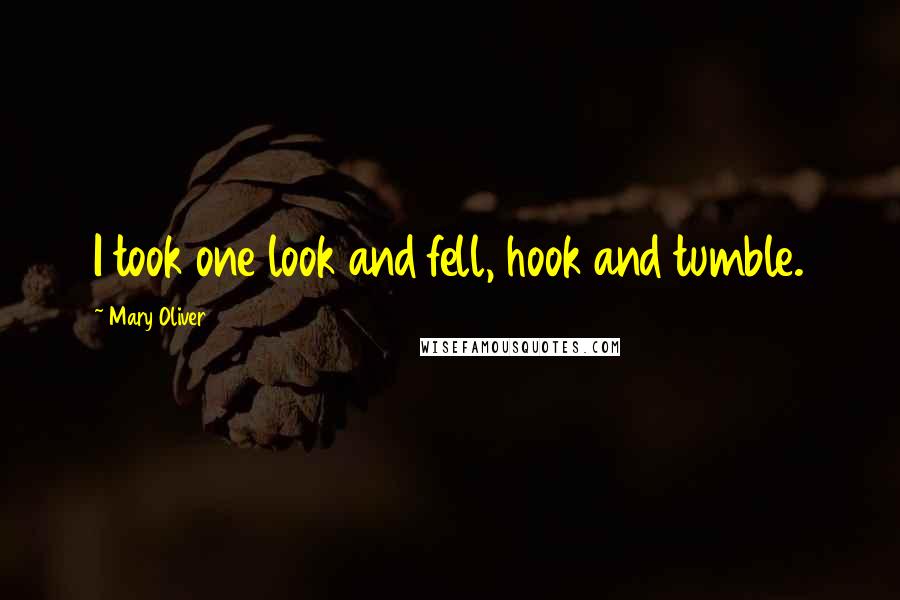 Mary Oliver Quotes: I took one look and fell, hook and tumble.