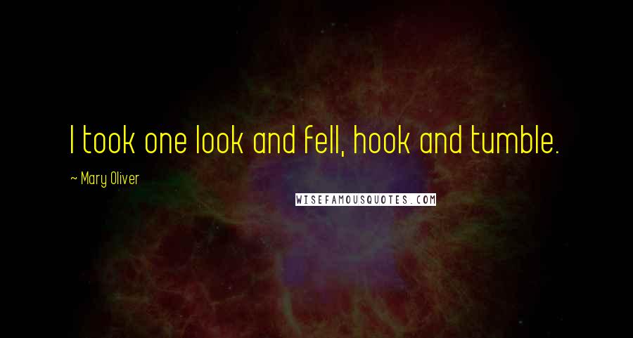 Mary Oliver Quotes: I took one look and fell, hook and tumble.