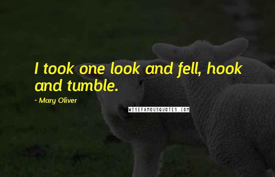 Mary Oliver Quotes: I took one look and fell, hook and tumble.