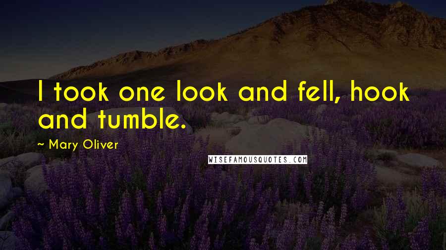 Mary Oliver Quotes: I took one look and fell, hook and tumble.