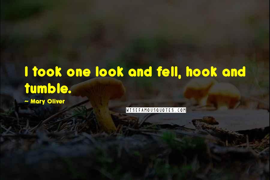 Mary Oliver Quotes: I took one look and fell, hook and tumble.