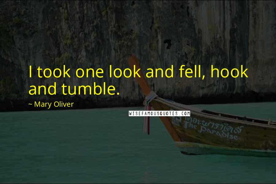 Mary Oliver Quotes: I took one look and fell, hook and tumble.