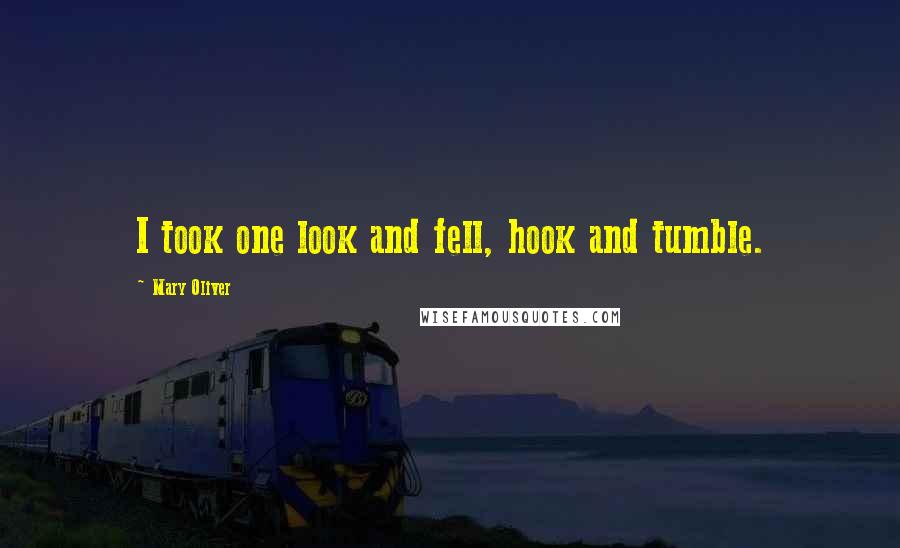 Mary Oliver Quotes: I took one look and fell, hook and tumble.