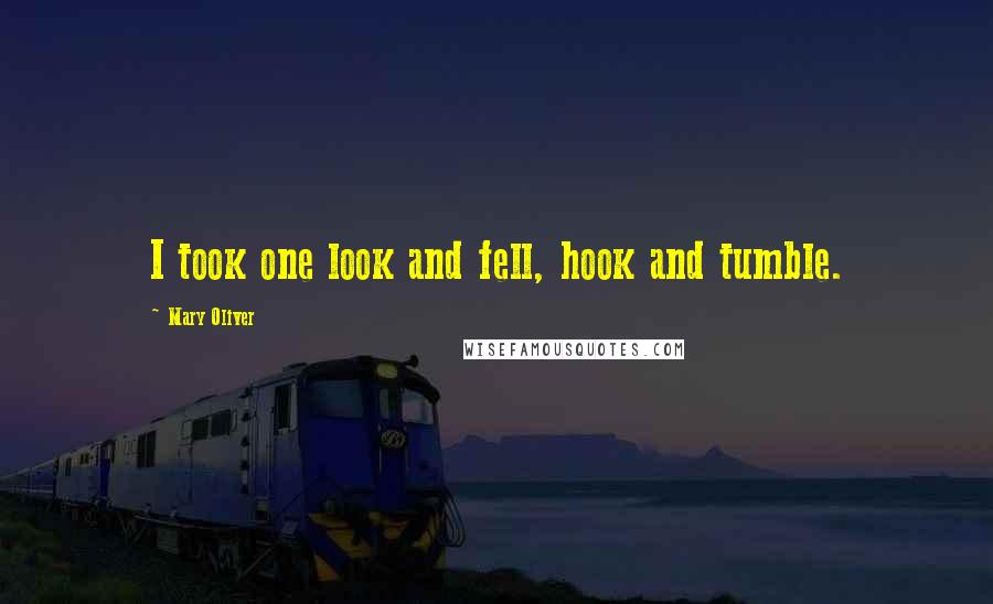 Mary Oliver Quotes: I took one look and fell, hook and tumble.