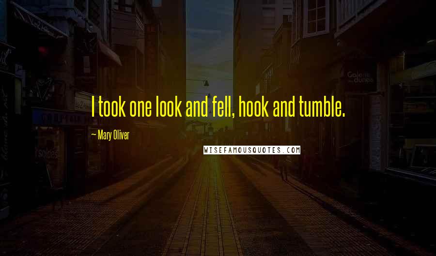 Mary Oliver Quotes: I took one look and fell, hook and tumble.