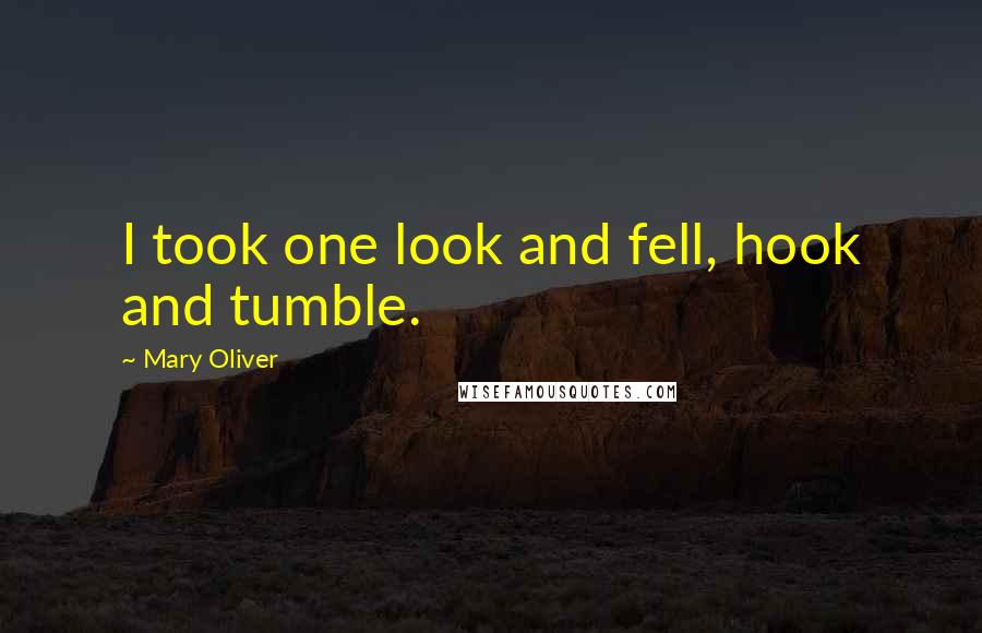 Mary Oliver Quotes: I took one look and fell, hook and tumble.