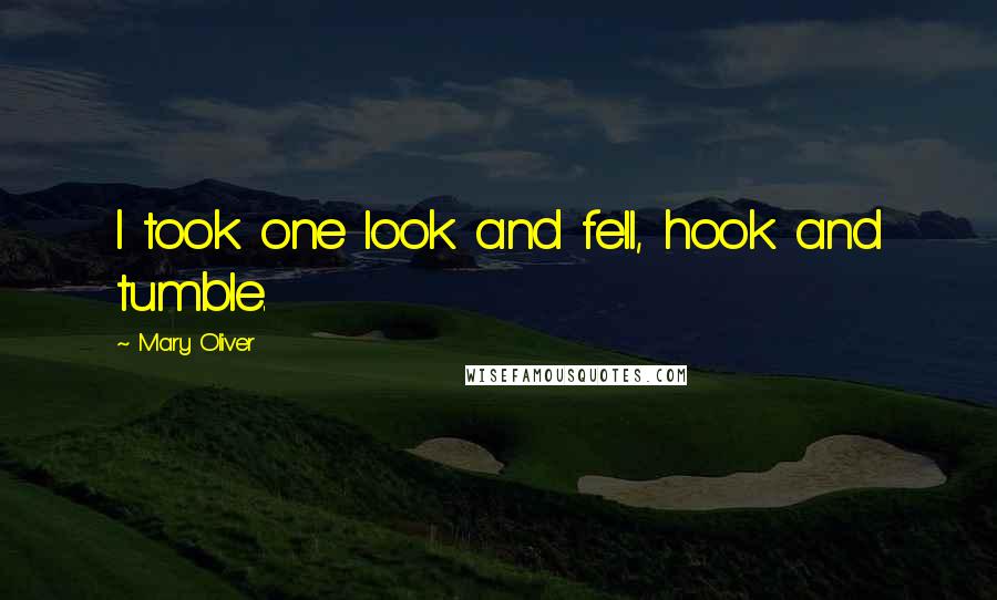 Mary Oliver Quotes: I took one look and fell, hook and tumble.