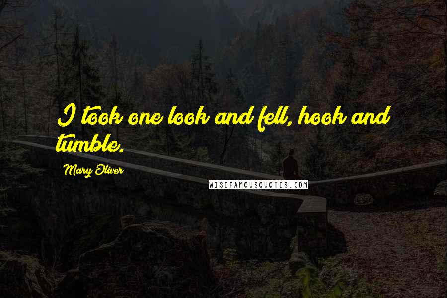 Mary Oliver Quotes: I took one look and fell, hook and tumble.