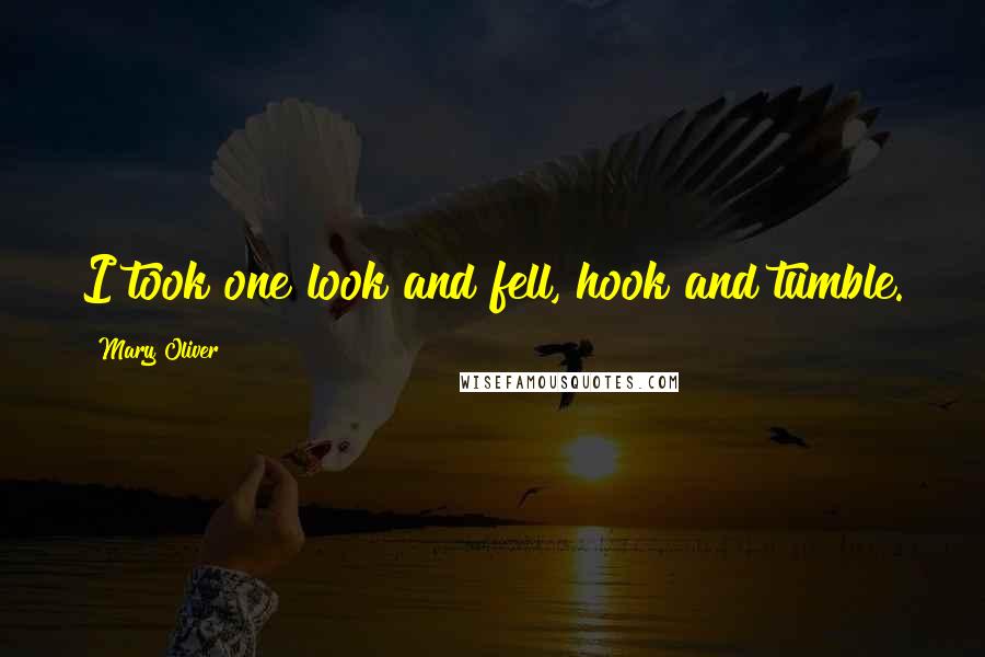 Mary Oliver Quotes: I took one look and fell, hook and tumble.