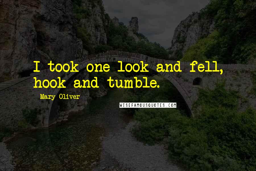 Mary Oliver Quotes: I took one look and fell, hook and tumble.