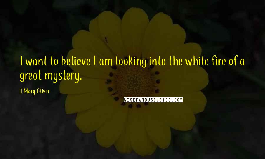 Mary Oliver Quotes: I want to believe I am looking into the white fire of a great mystery.