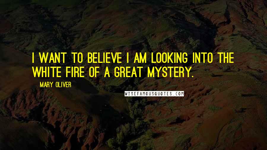 Mary Oliver Quotes: I want to believe I am looking into the white fire of a great mystery.