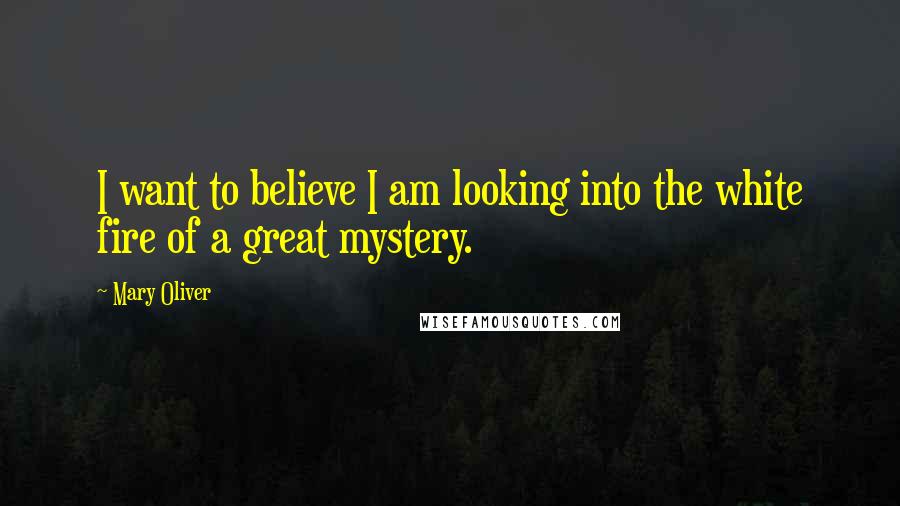 Mary Oliver Quotes: I want to believe I am looking into the white fire of a great mystery.