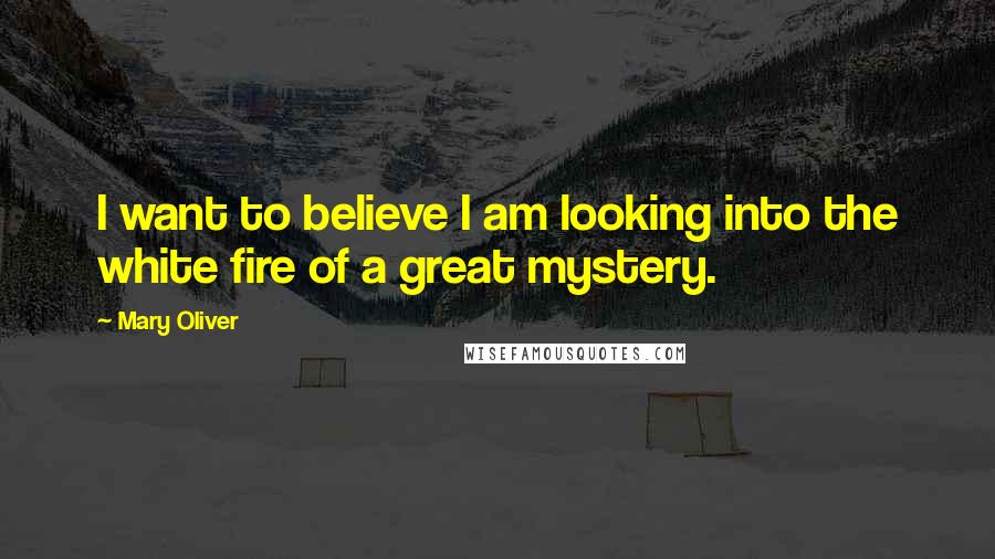 Mary Oliver Quotes: I want to believe I am looking into the white fire of a great mystery.