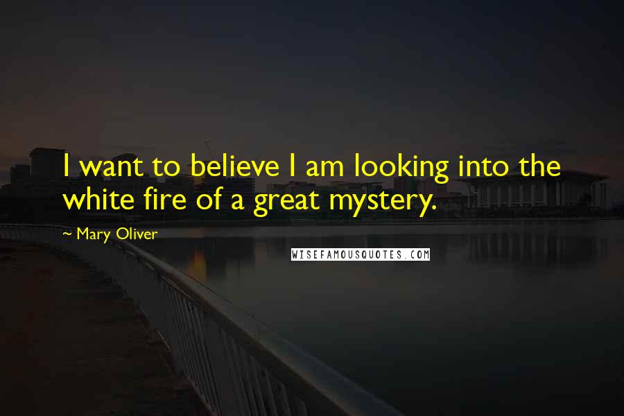 Mary Oliver Quotes: I want to believe I am looking into the white fire of a great mystery.