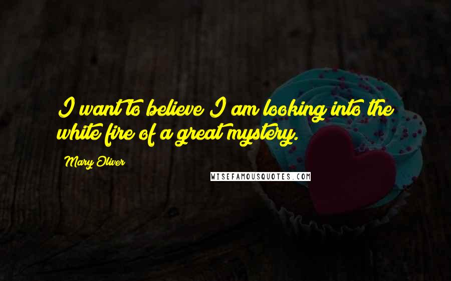 Mary Oliver Quotes: I want to believe I am looking into the white fire of a great mystery.