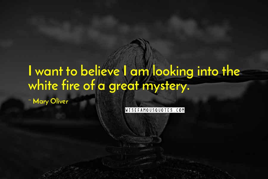 Mary Oliver Quotes: I want to believe I am looking into the white fire of a great mystery.