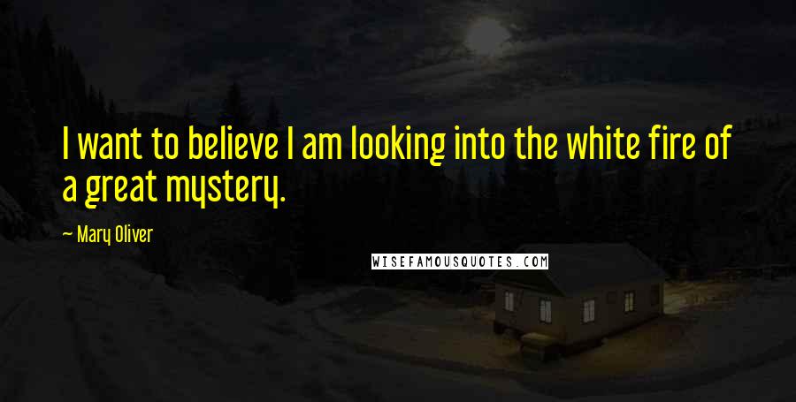 Mary Oliver Quotes: I want to believe I am looking into the white fire of a great mystery.