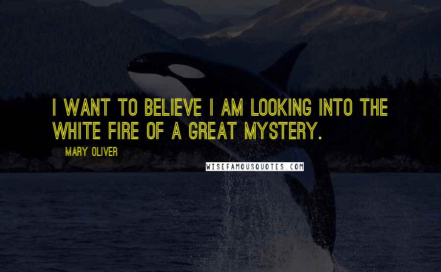 Mary Oliver Quotes: I want to believe I am looking into the white fire of a great mystery.