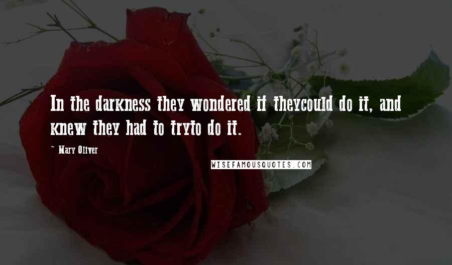 Mary Oliver Quotes: In the darkness they wondered if theycould do it, and knew they had to tryto do it.