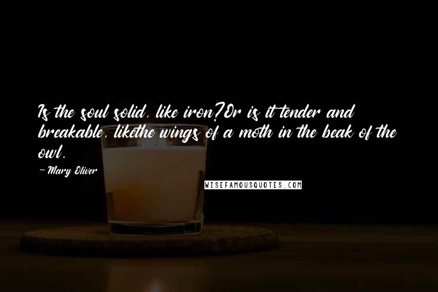 Mary Oliver Quotes: Is the soul solid, like iron?Or is it tender and breakable, likethe wings of a moth in the beak of the owl.