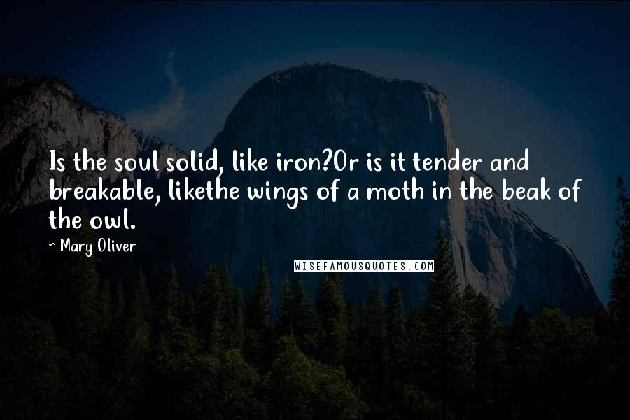 Mary Oliver Quotes: Is the soul solid, like iron?Or is it tender and breakable, likethe wings of a moth in the beak of the owl.