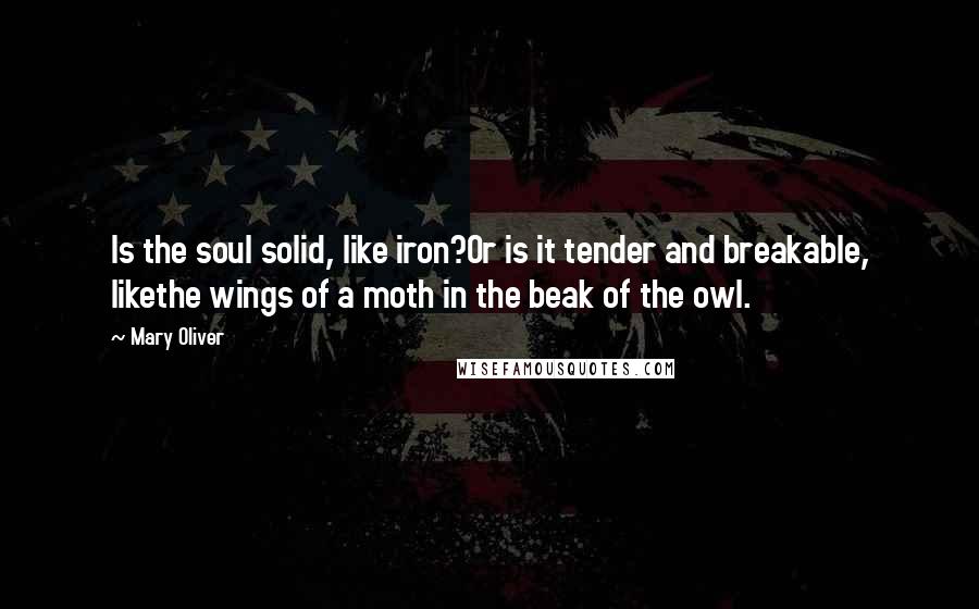 Mary Oliver Quotes: Is the soul solid, like iron?Or is it tender and breakable, likethe wings of a moth in the beak of the owl.