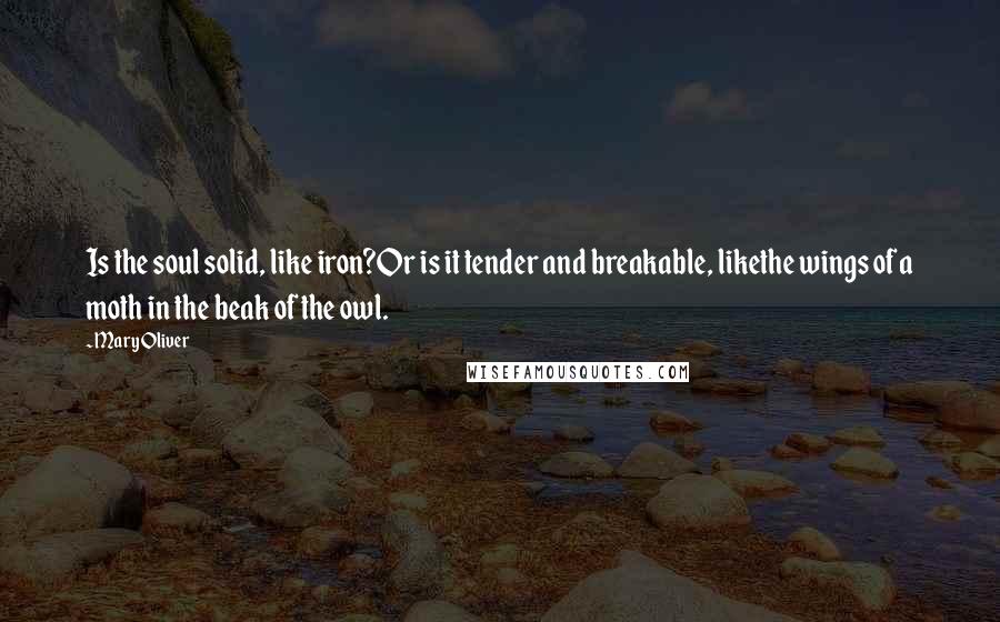 Mary Oliver Quotes: Is the soul solid, like iron?Or is it tender and breakable, likethe wings of a moth in the beak of the owl.