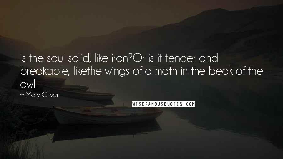 Mary Oliver Quotes: Is the soul solid, like iron?Or is it tender and breakable, likethe wings of a moth in the beak of the owl.