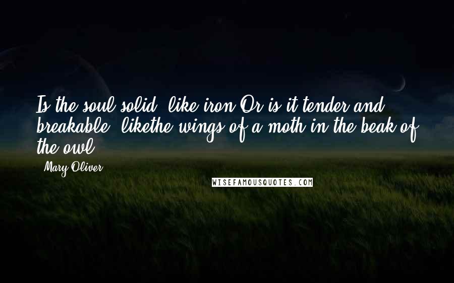 Mary Oliver Quotes: Is the soul solid, like iron?Or is it tender and breakable, likethe wings of a moth in the beak of the owl.