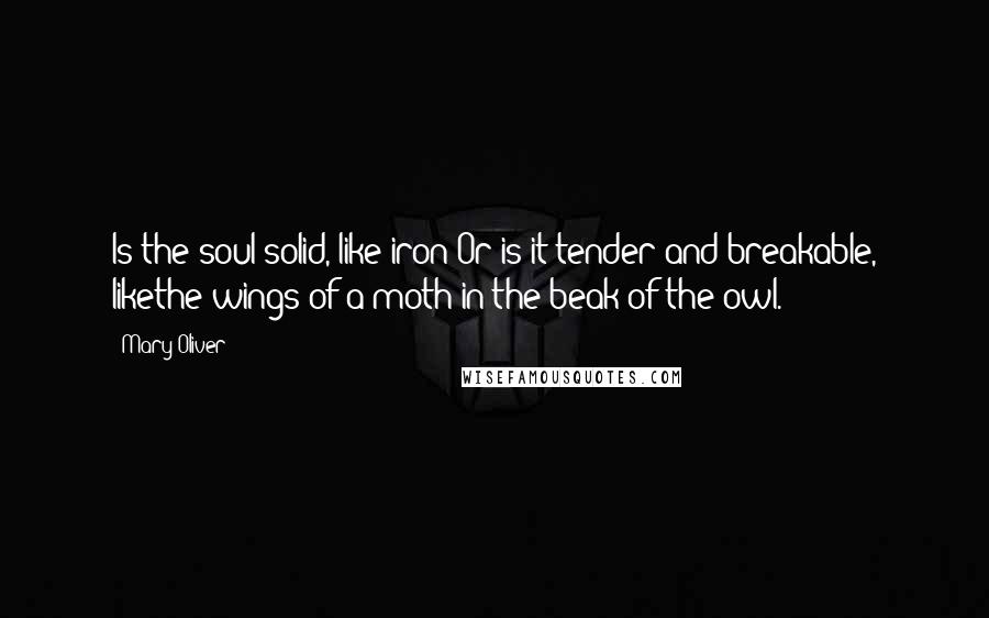 Mary Oliver Quotes: Is the soul solid, like iron?Or is it tender and breakable, likethe wings of a moth in the beak of the owl.