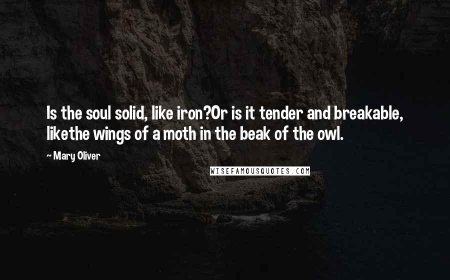 Mary Oliver Quotes: Is the soul solid, like iron?Or is it tender and breakable, likethe wings of a moth in the beak of the owl.