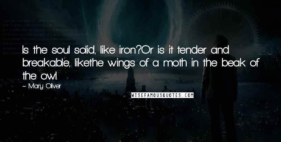 Mary Oliver Quotes: Is the soul solid, like iron?Or is it tender and breakable, likethe wings of a moth in the beak of the owl.