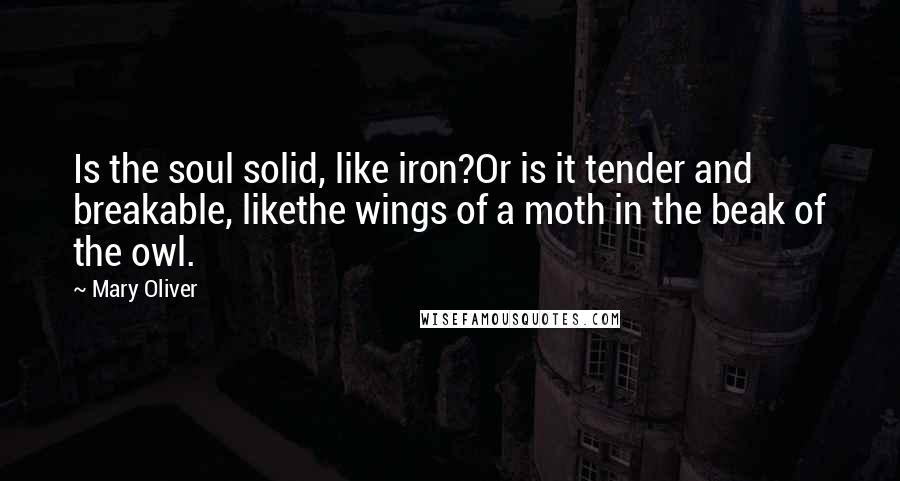 Mary Oliver Quotes: Is the soul solid, like iron?Or is it tender and breakable, likethe wings of a moth in the beak of the owl.