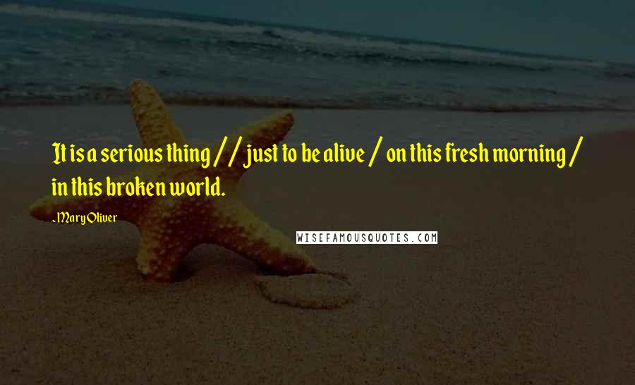 Mary Oliver Quotes: It is a serious thing // just to be alive / on this fresh morning / in this broken world.